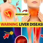 Did you know that if you eat chicken gizzards, you don’t need to take… See more