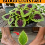 How to make a super effective homemade herbicide