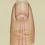 The human body never ceases to amaze us with its functioning