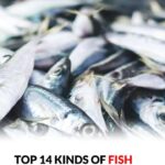 8 habits you should stop this year if you are taking Amlodipine ….and why