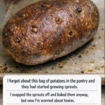 Doctors reveal that avocado consumption causes… see more