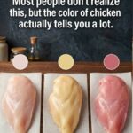 9 tips from a doctor to lose weight naturally, without deprivation or frustration