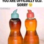 It’s surprising that the connection between chicken color and quality is sti…