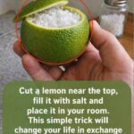 Bleach stains on your clothes? No need to throw them away: here’s a solution