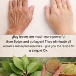 6 Chia Seed Side Effects You Should Know About