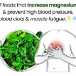 Top 10 Everyday Foods That Support Better Circulation in Legs and Feet Naturally