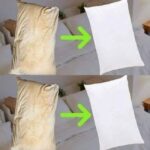 Two Fruits That Regenerate Collagen in the Knees