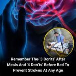 Doctors reveal that eating boiled eggs in the morning causes … See more