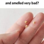 If you eat bananas with black spots on a daily basis, your body will experience the following effects…