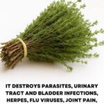 Take 2 tablespoons in the morning and say goodbye to bone pain, nerve pain, cartilage pain, anxiety, depression, insomnia, rheumatism,