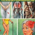 5 Symptoms of a Mini Stroke in Seniors That Shouldn’t Be Ignored