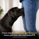 Did You Know That Waking Up At 3 Or 4 In The Morning Is A Clear Sign Of…See More
