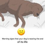 This is why we get cramps at night
