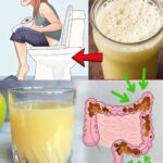 https://recipiq.site/7-gentle-nighttime-habits-for-a-lighter-happier-colon/
