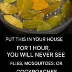 Eating bananas in the evening increases your… Show more