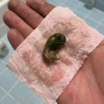How to make a super effective homemade herbicide