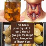 Never mix medications in one box. 10 serious risks most don’t know