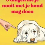 Eerlijk gezegd, eet er hier nou echt iemand spruitjes?