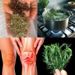 The vegetable that eats all the sugar in the body. It’s the formidable enemy of diabetes. Check 1s comment