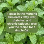 Boil Garlic in Milk and Drink It Once: Here’s Why You Should Try This Soothing Remedy…Brilliant continuation in the first comment