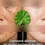 THE MOST POTENT HERB THAT DESTROYS PARASITES, URINARY TRACT …