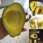 Doctors reveal that eating avocado causes in… see more