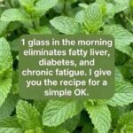 What Is The Normal Blood Pressure For Each Age
