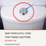 Did you know that drinking water on an empty stomach could be… see more