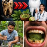 Did you know that eating bananas increases… See more