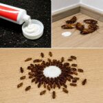 Eight pills you shouldn’t take because they damage your kidneys