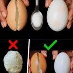 19 Things Most Metformin Users Are Never Told — Including What It May Be Doing to Your B12 Levels, Liver, and Gut