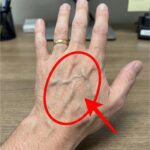 When this snake enters your house, it means you haveFull article