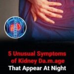 The Real Causes of Constant Phlegm and Mucus in Throat and How to Get Rid of It