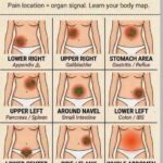 What Is The Normal Blood Pressure For Each Age