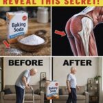 The Little White Box in Your Pantry: 13 Everyday Baking Soda Ideas for Natural Beauty, Comfort, and Home Freshness
