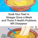 Top 8 Fruits That May Help Support Your Body’s Natural Blood Clot Management