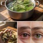 At 60 years old, I cured cancer, high blood pressure, diabetes, and poor circulation just by drinking this powerful beverage…To keep receiving my recipes, just leave a comment… Thank you!