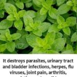 7 powerful blood-thinning foods you need to know about