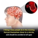 The Benefits of Beetroot for Circulation and Stamina