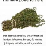 Instant Sciatica Pain Relief: Try it and feel better in minutes!