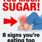5 signs that an elderly person needs more care and attention — don’t ignore these warning signs!!