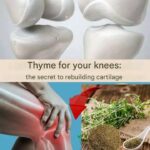 Never uproot this plant if it appears in your garden.