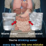 What Is The Normal Blood Pressure For Each Age