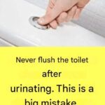 Vaseline Beauty Hacks That Actually Work!