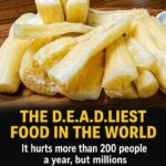 Eight pills you shouldn’t take because they damage your kidneys