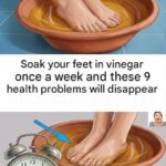 Do this and your geraniums will be able to bloom almost continuously for over a year.