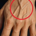 6 Foods that help increase muscle mass… see more