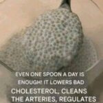 NEVER Use Magnesium If You Are Taking Any of the Following Medications