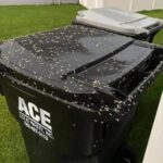 Natural and Powerful Homemade Weed Control