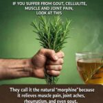 Never uproot this plant if it appears in your garden.